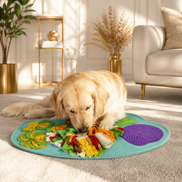 Orbly SniffQuest™ Enrichment Snuffle Pad — image 1