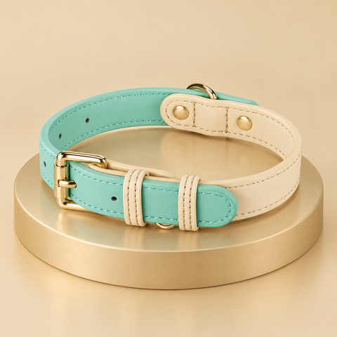 Two-tone leather dog collar in mint and cream with a gold buckle, on a round champagne plinth