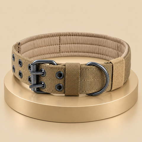 Wide brown nylon dog collar with a black double-prong buckle and D-ring on a champagne display plinth.