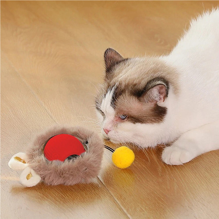 Orbly RollMate™ Interactive Cat Ball