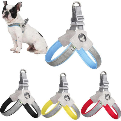 Orbly WalkFlex™ No-Pull Harness & Leash Set