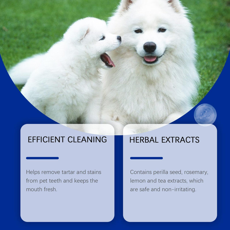 Orbly DentaFresh™ Dental Water Additive