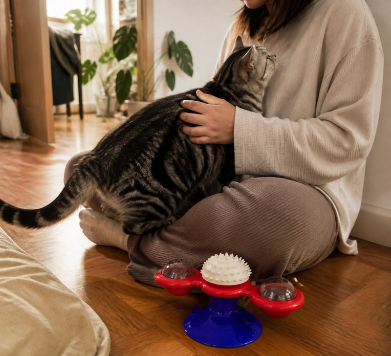 For Cats