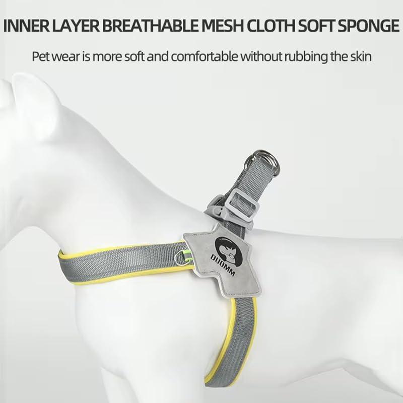 Orbly WalkFlex™ No-Pull Harness & Leash Set