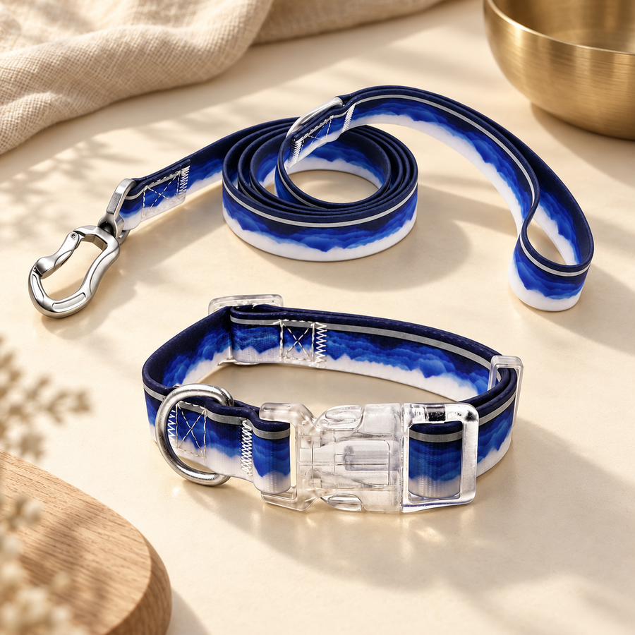 Navy-and-white collar with clear buckle and a matching coiled leash arranged on a pale tabletop