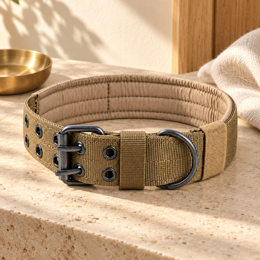 Brown padded dog collar arranged on a pale stone entryway shelf beside a small unmarked brass dish.