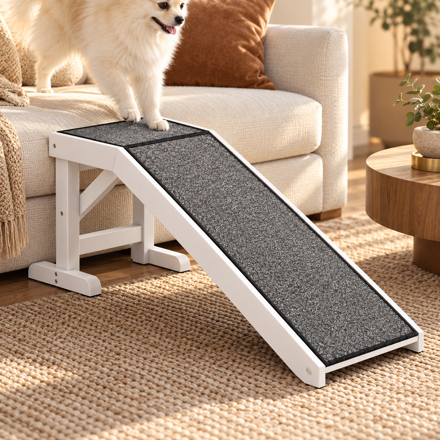 Pomeranian-type dog standing at the top platform of a carpeted pet ramp beside a cream sofa