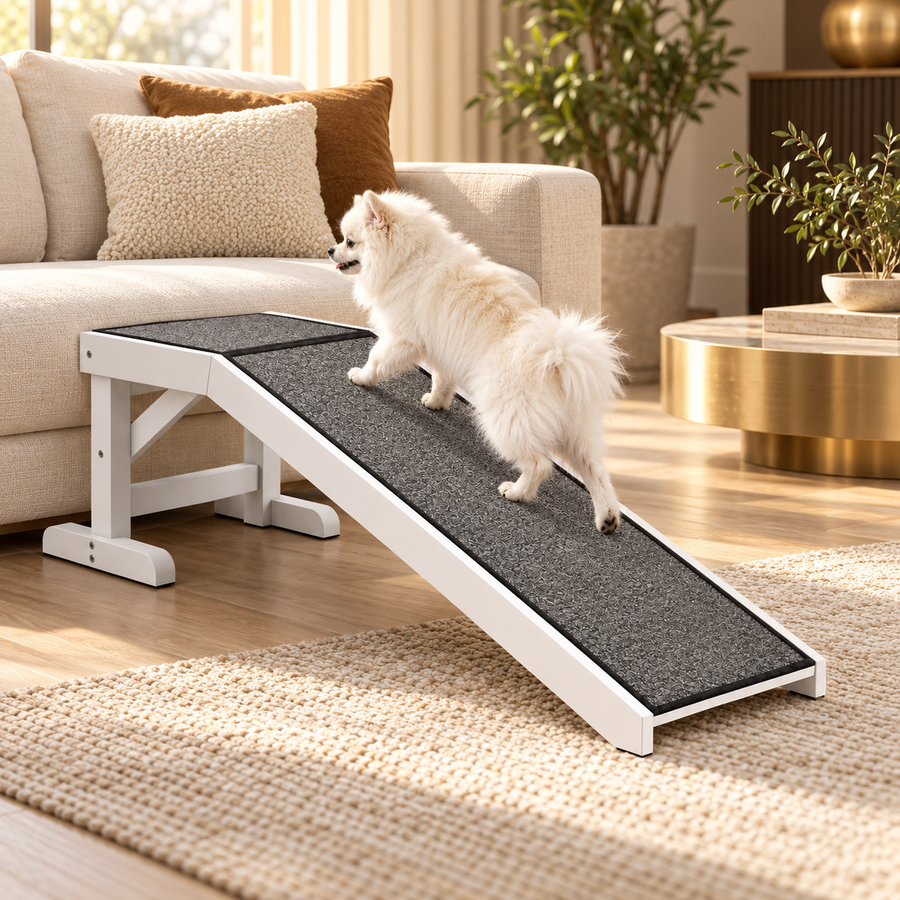 Small fluffy white dog walking up a white wooden pet ramp with a gray carpeted surface toward a sofa