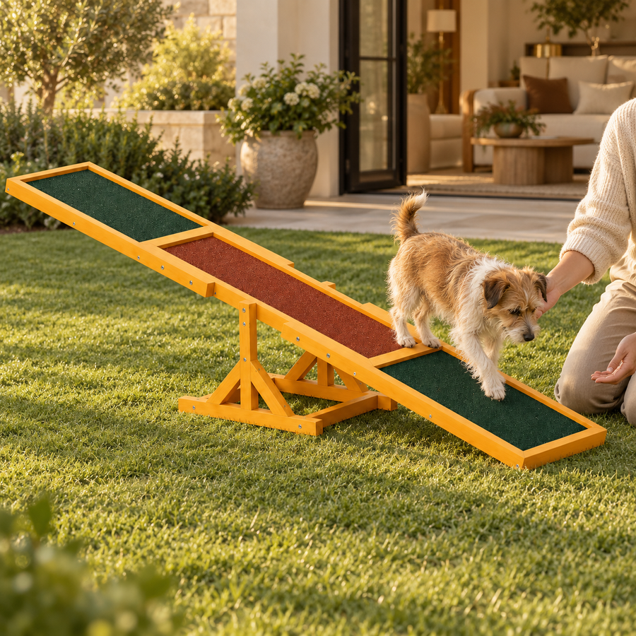 Small terrier stepping down the green end of a wooden agility seesaw as a kneeling adult guides it on a lawn.