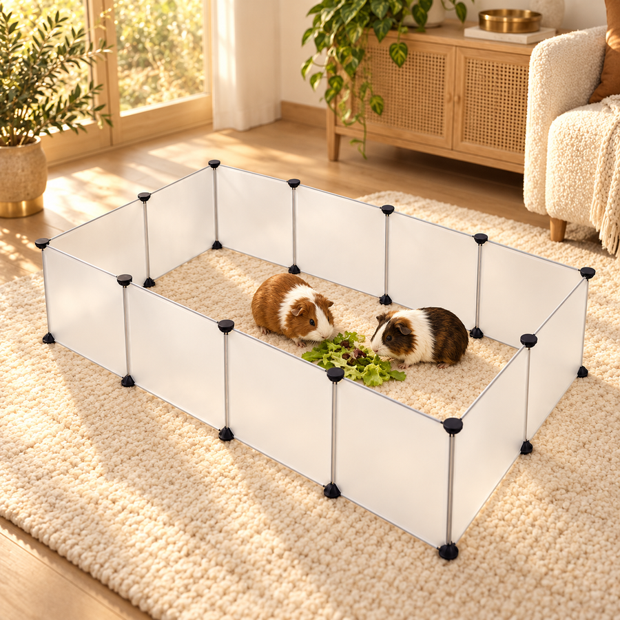 Two guinea pigs eating greens inside a translucent white small pet playpen on a woven rug