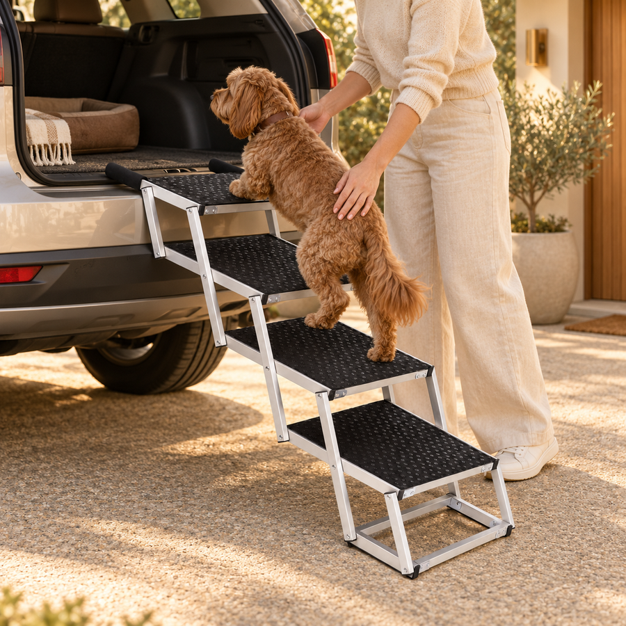 A small brown dog climbs the four black steps beside a parked car while an adult stays alongside.