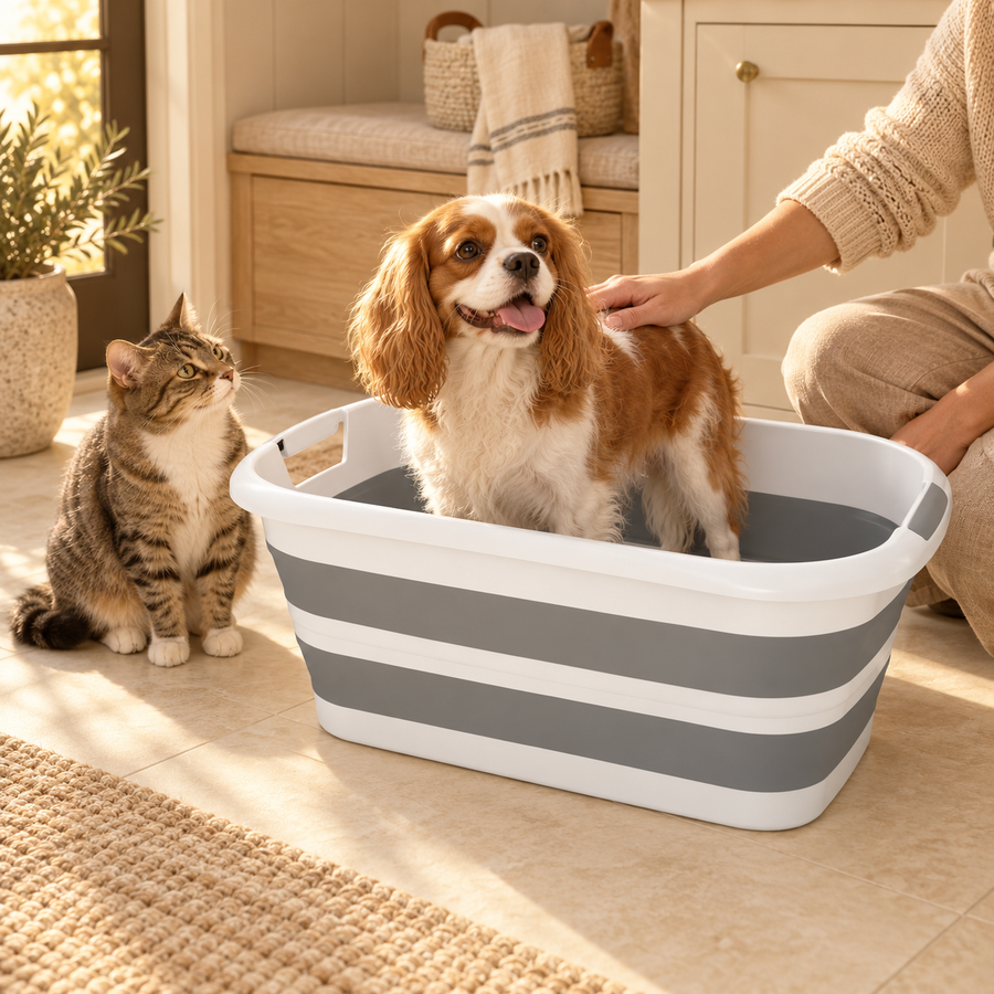Spaniel in a gray and white pet tub beside an adult, with a tabby cat sitting on the floor nearby.