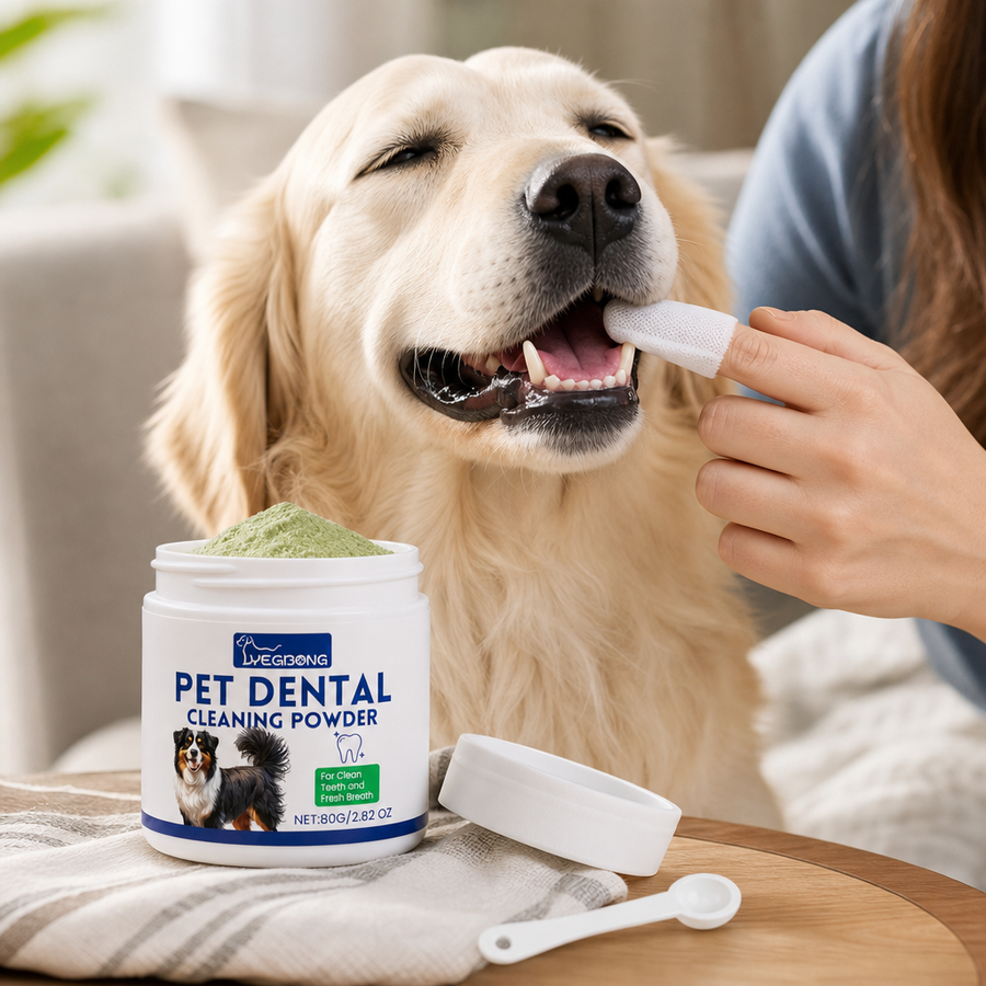 Orbly DentaFresh™ Tooth Cleaning Powder - G3