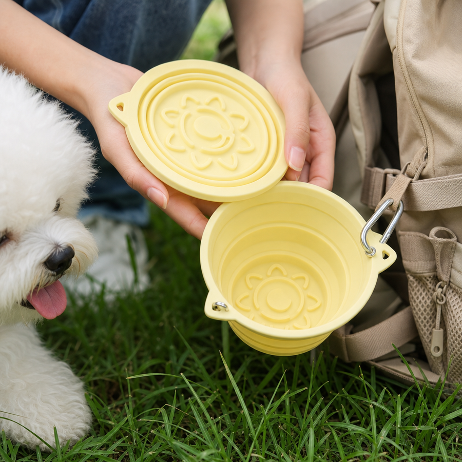 Orbly TravelBowl™ 3-in-1 Collapsible Feeder - SB2