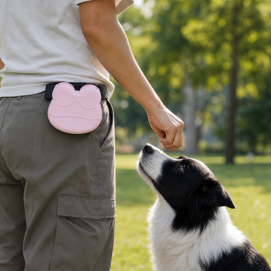 Orbly TreatGo™ Silicone Training Pouch - G3