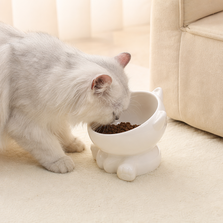 Orbly PurrDine™ Ceramic Tilted Cat Bowl — Ergonomic Neck-Guard Design - G3