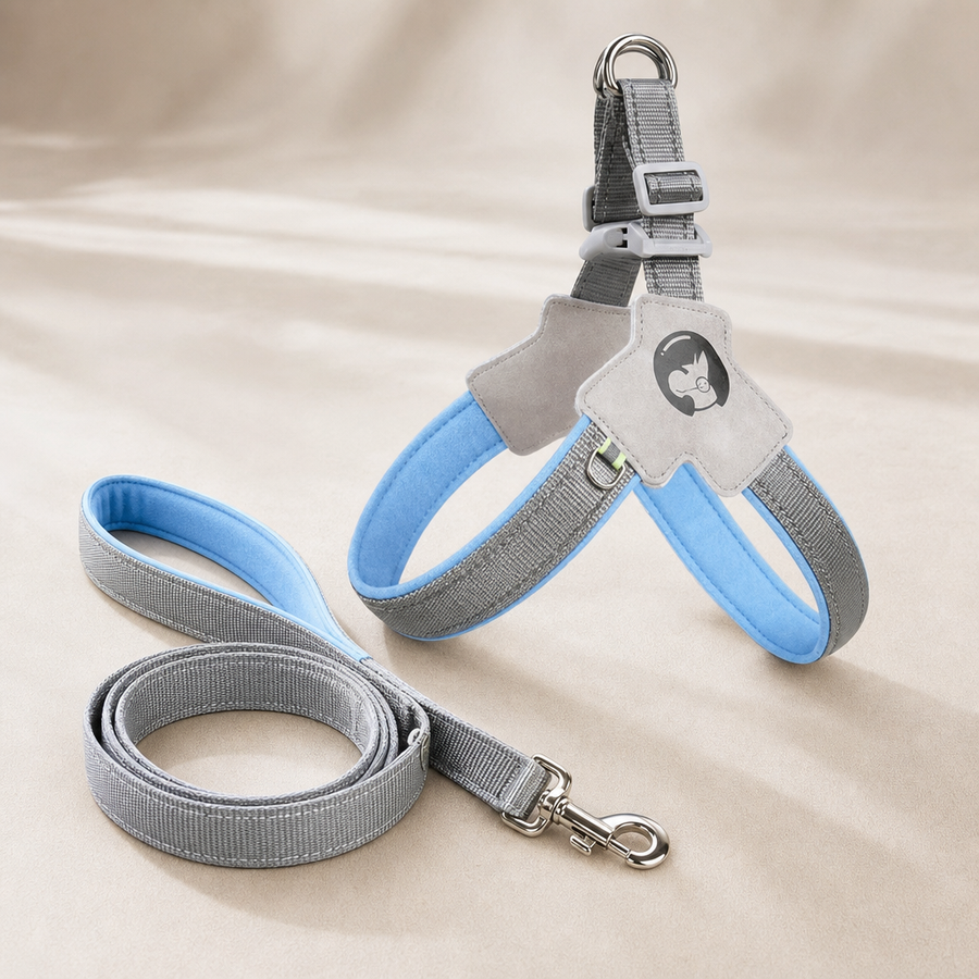 Orbly WalkFlex™ No-Pull Harness & Leash Set - G1