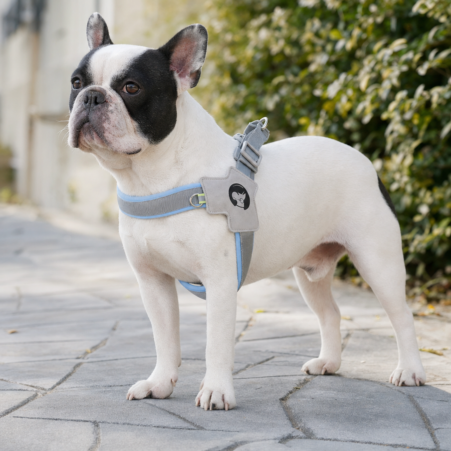 Orbly WalkFlex™ No-Pull Harness & Leash Set - G3