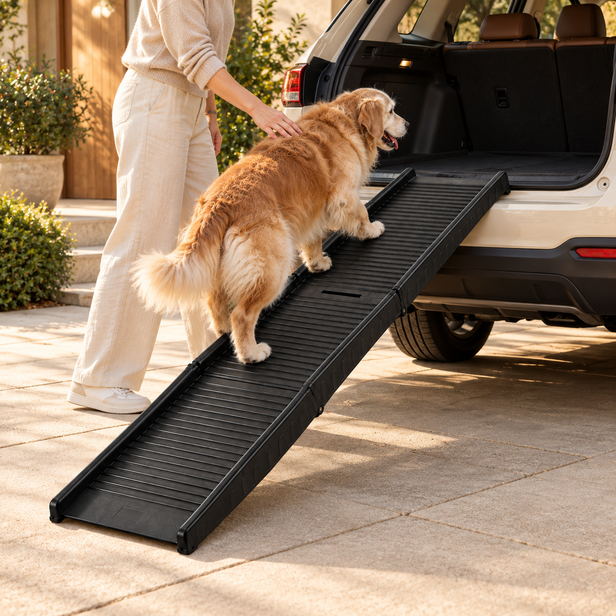 Golden retriever walking up a black folding dog ramp into an SUV cargo area while a person guides it