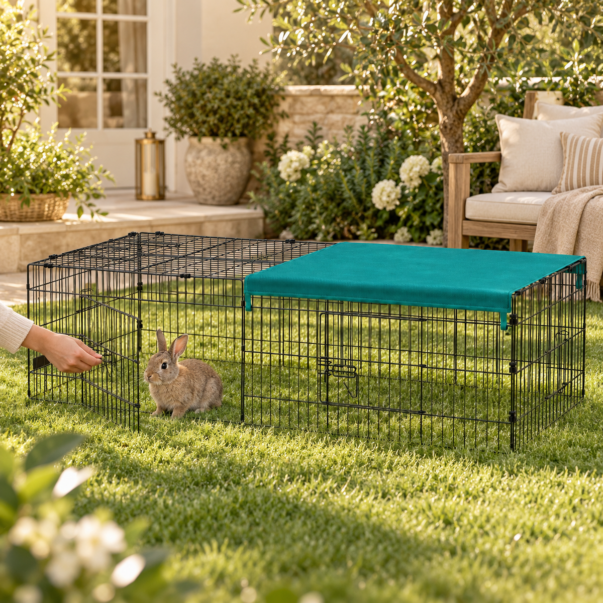 Hand reaching toward the side door of a covered black wire playpen as a rabbit sits inside on the garden lawn