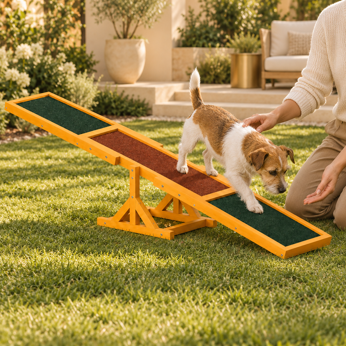 Terrier walking from the brown center onto a green end panel of a wooden seesaw, with an adult kneeling beside it.