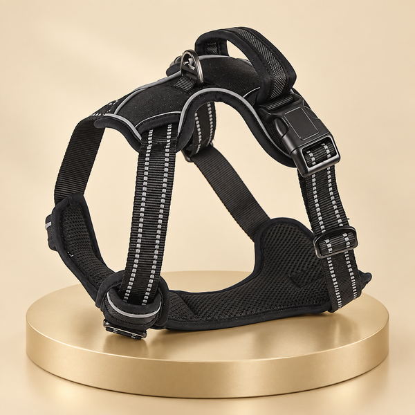 Reflective dog harness with handle in black, standing on a round champagne plinth