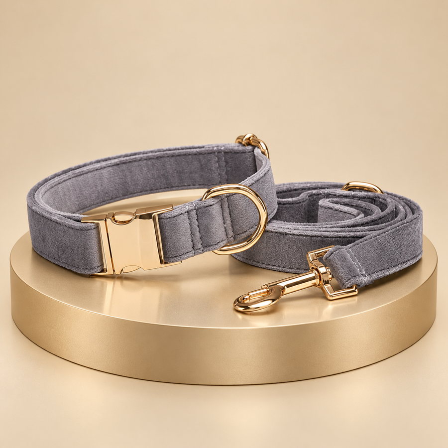 Gray velvet dog collar and matching coiled leash with blank gold-tone fittings on a champagne plinth