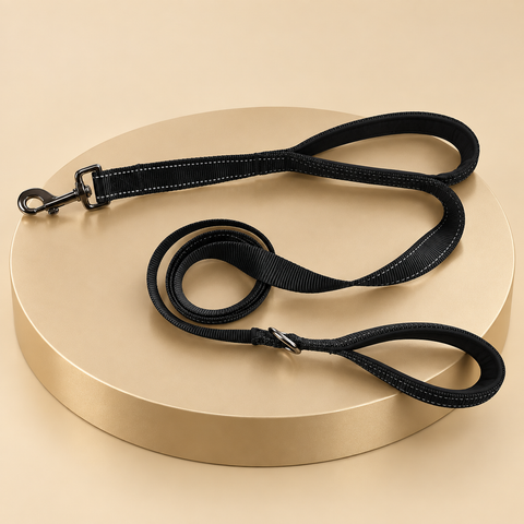 Double handle dog leash in black with padded loops and a swivel clip on a champagne plinth