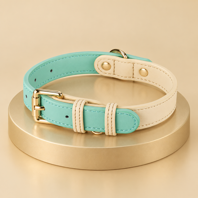 Two-Tone Leather Dog Collar, Mint & Cream