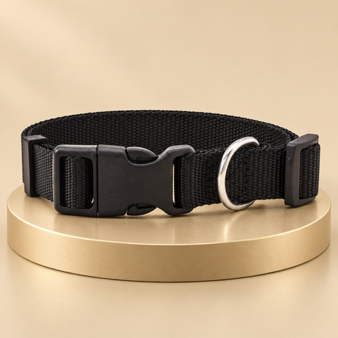 Adjustable nylon dog collar in black with a side-release buckle on a round champagne plinth