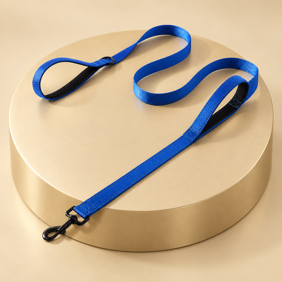Blue double handle dog leash with two padded black-lined loops and a clip lying on a round plinth