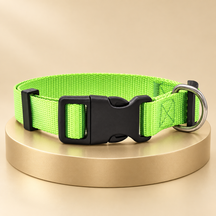 Bright green nylon dog collar with a black side-release buckle and silver D-ring on a plinth