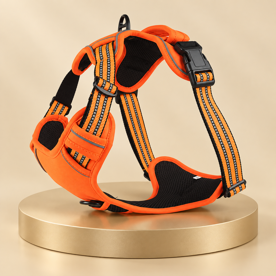 Orange dog harness with reflective straps and black mesh chest panel on a champagne plinth