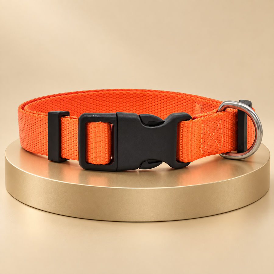 Orange adjustable nylon dog collar with a black buckle and metal D-ring on a champagne-colored stand