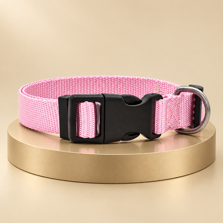 Pink nylon dog collar with a black side-release buckle and D-ring displayed on a round gold plinth
